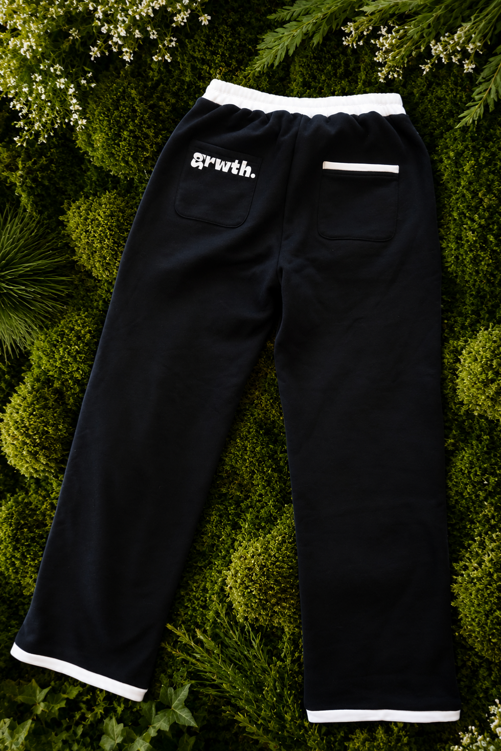 the signature pant black